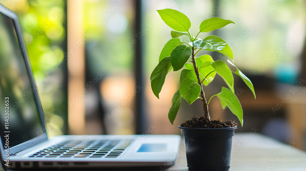 A laptop next to a potted plant A laptop next to a potted plant