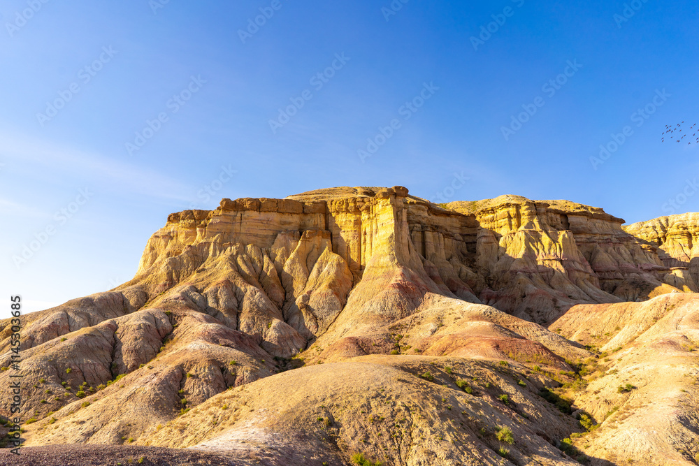 Obraz premium 몽골 차강소브라가