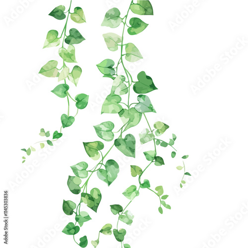 A watercolor vector of soft green vines growing in spring, isolated on a white background. Soft green vines growing in spring vector.
