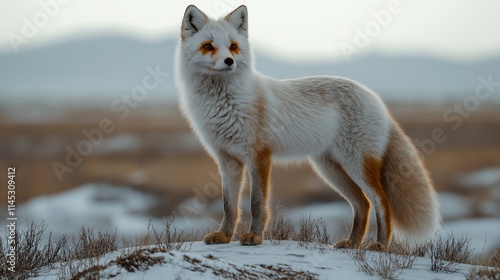 An Elegant Arctic Fox Standing on Snowy Terrain, Highlighting its Fluffy White and Golden Fur in a Subtle Winter Landscape with Mountains in the Background, Ideal for Wildlife and Environmental Awaren photo