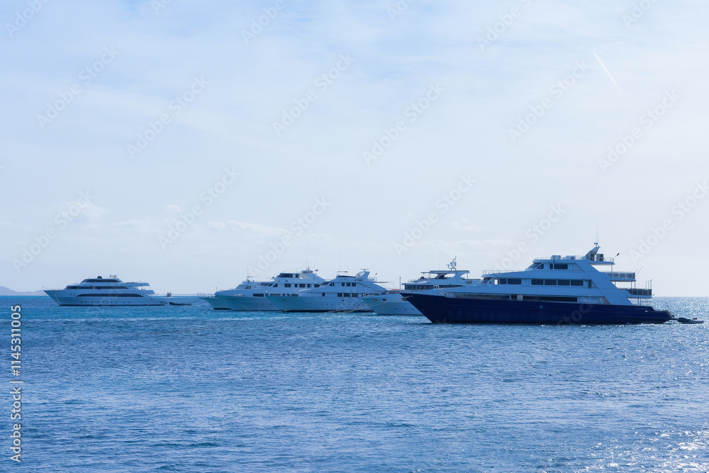Fototapeta premium Majestic yacht fleet sailing on tranquil blue ocean under clear skies