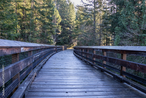 Canvas Print A wooden trestle bridge in the forest