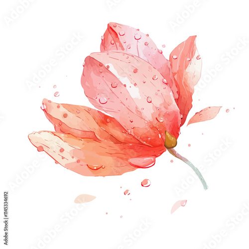 A watercolor of spring rain on flower petals, isolated on a white background. Spring rain on flower petals vector.

