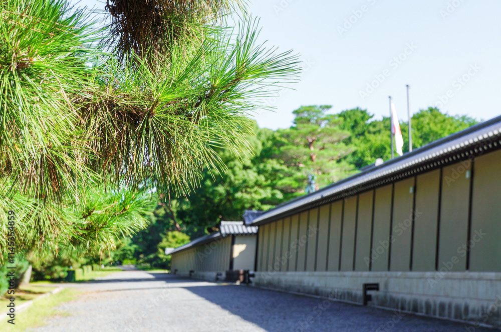 Fototapeta premium 松の枝越しに見る日本建築