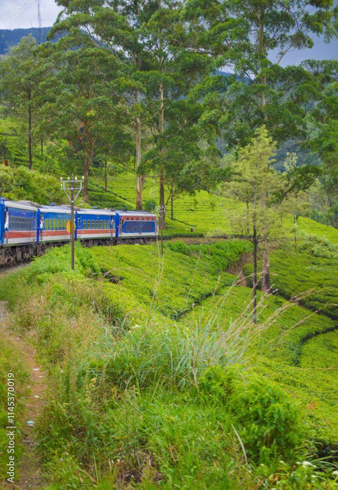 Fototapeta premium Colonial train route built by the British Empire, offering a journey through history, stunning mountains, waterfalls, and tea estates—Ella Odyssey train journey 2024.12.13 Ella Sri Lanka