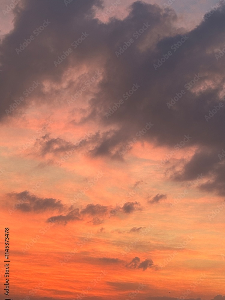 Fototapeta premium red sunset sky