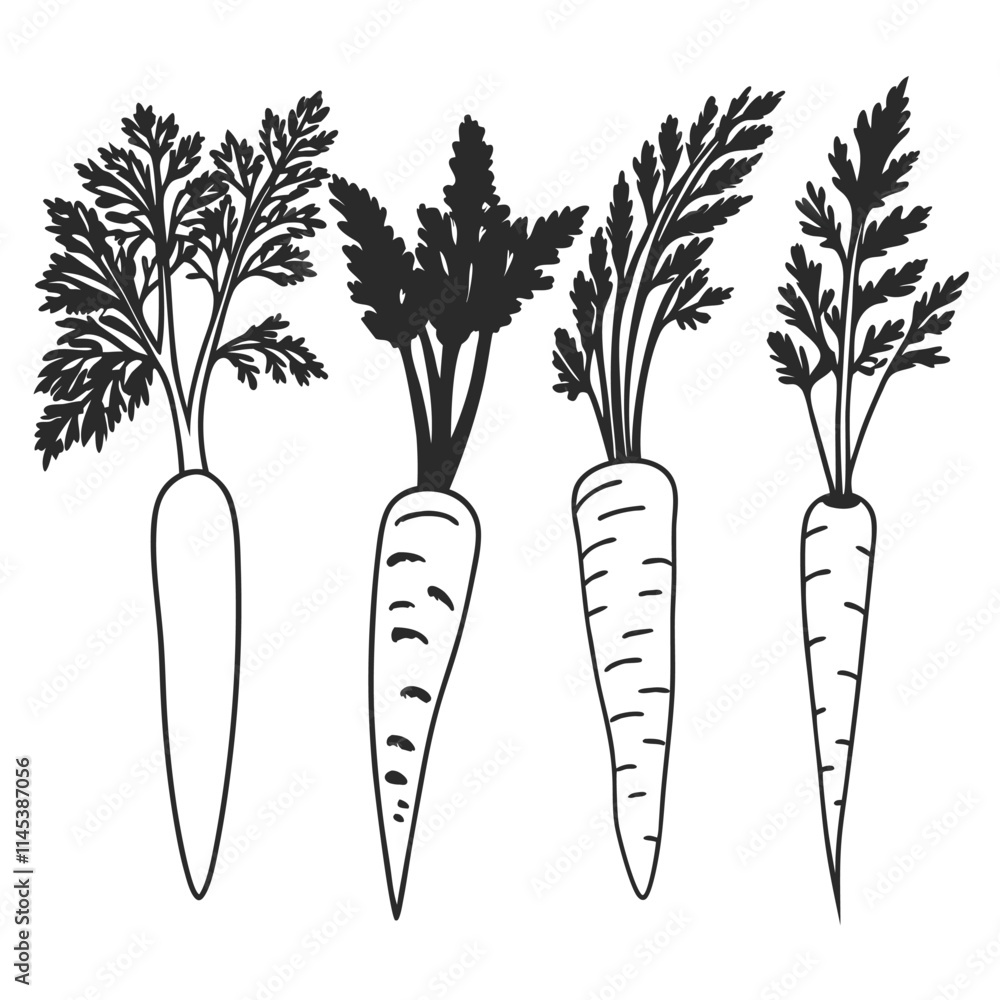 Hand-drawn illustration of three carrots with leaves. Hand-drawn illustration of three carrots with leaves.