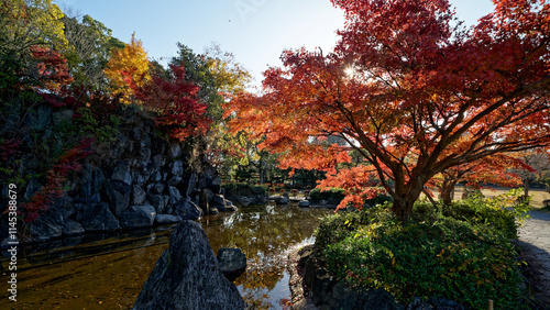Wallpaper Mural 紅葉のある風景 Torontodigital.ca