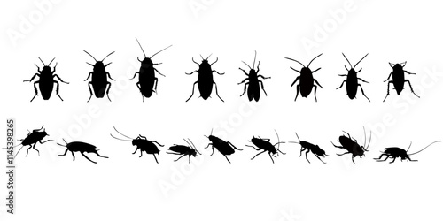 black silhouette of cockroach insect