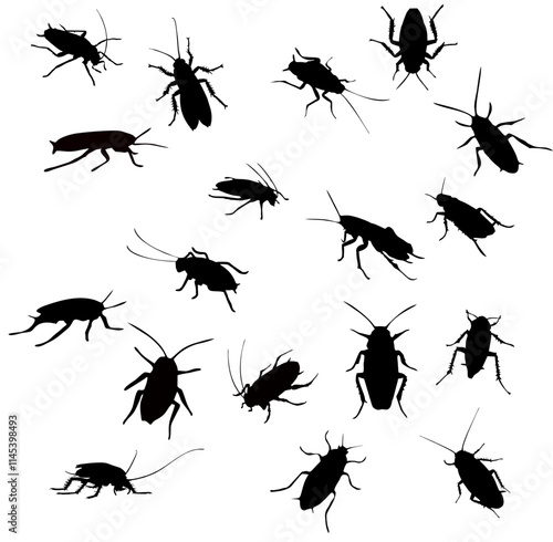 black silhouette of cockroach insect