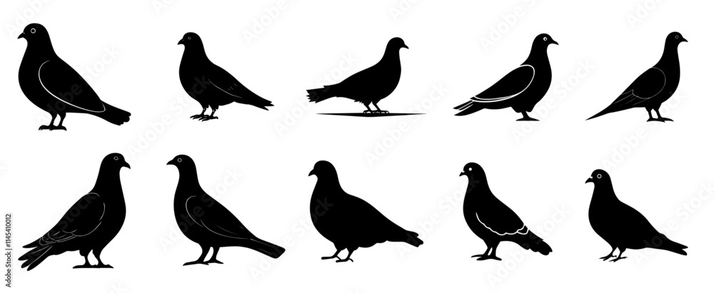 Silhouettes of Pigeons in Various Poses and Profiles Silhouettes of Pigeons in Various Poses and Profiles