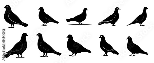 Silhouettes of Pigeons in Various Poses and Profiles