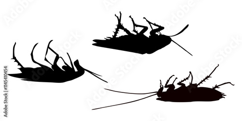 black silhouette of cockroach insect