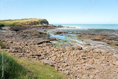 Curio Bay Rugged Coastal Landscape at Low Tide on a Sunny Day - Scenic New Zealand photo