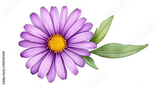 Vibrant Purple Flower with Delicate Petals and Green Leaves on a White Background Perfect for Nature and Floral Designs