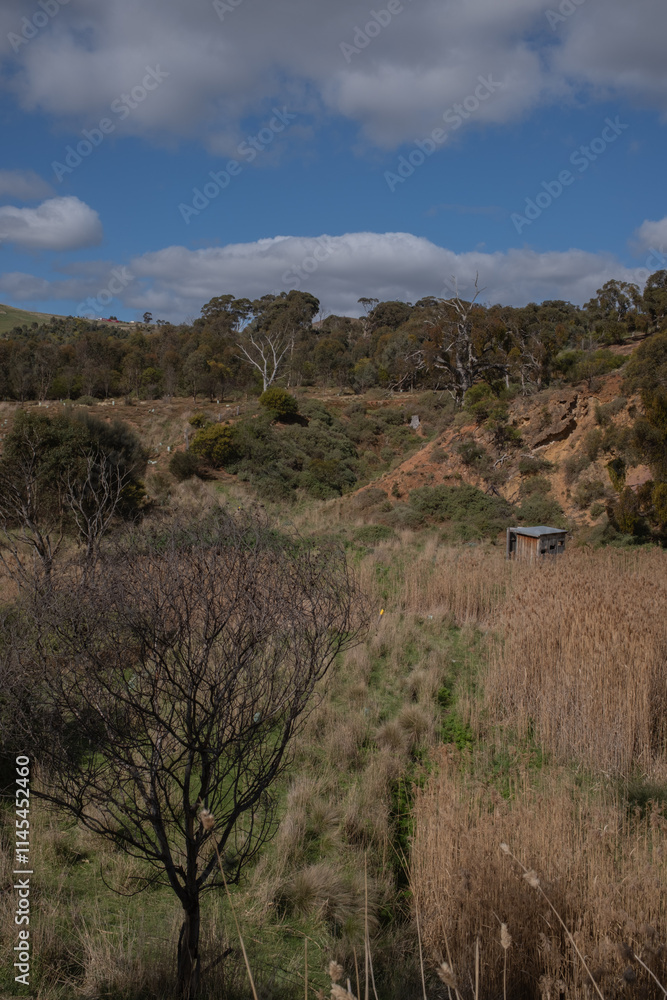 Werribee Gorge Nature Melbourne Australia Werribee Gorge Nature Melbourne Australia