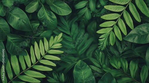 Wallpaper Mural Micro foliage concept. Close-up view of various green leaves creating a lush, vibrant background. Torontodigital.ca