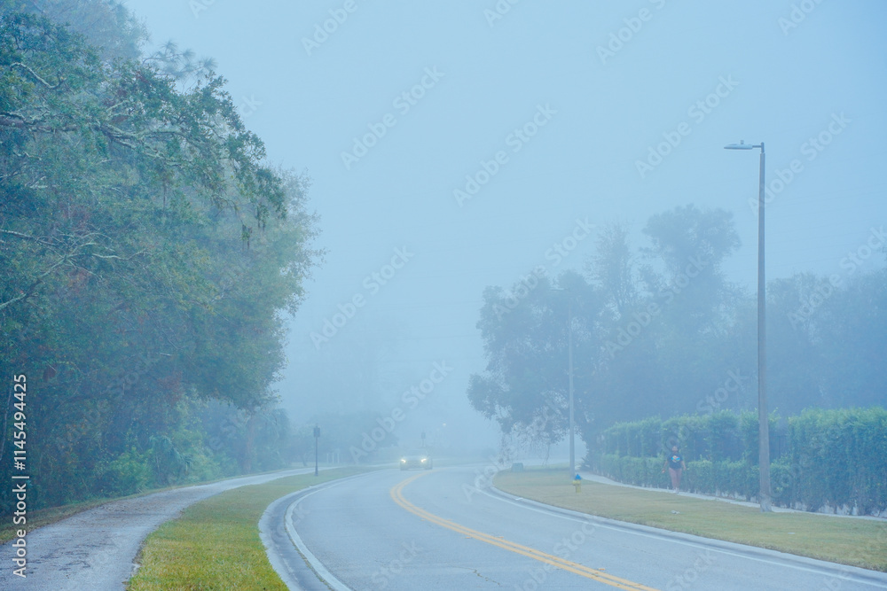 heavy morning fog in Florida community
heavy morning fog in Florida community