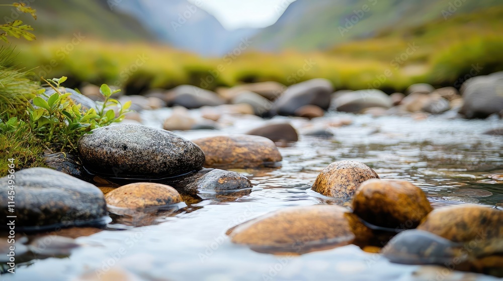 Fototapeta premium Wilderness valley concept. A serene river scene featuring smooth stones and calm water in a natural setting.