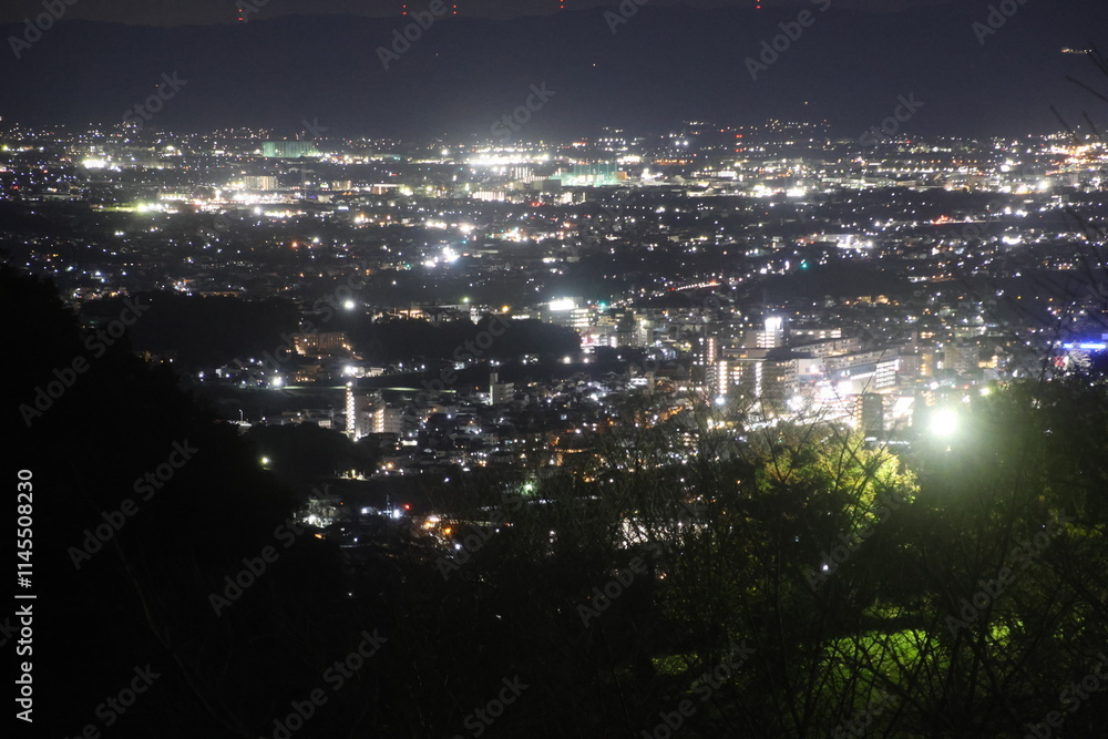 Obraz premium 竜田古道の里山公園からの夜景（大阪府・柏原市）