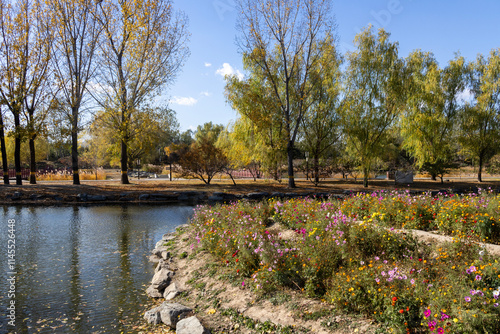 Beautiful autumn view of Yuanmingyuan Park in Beijing, China photo