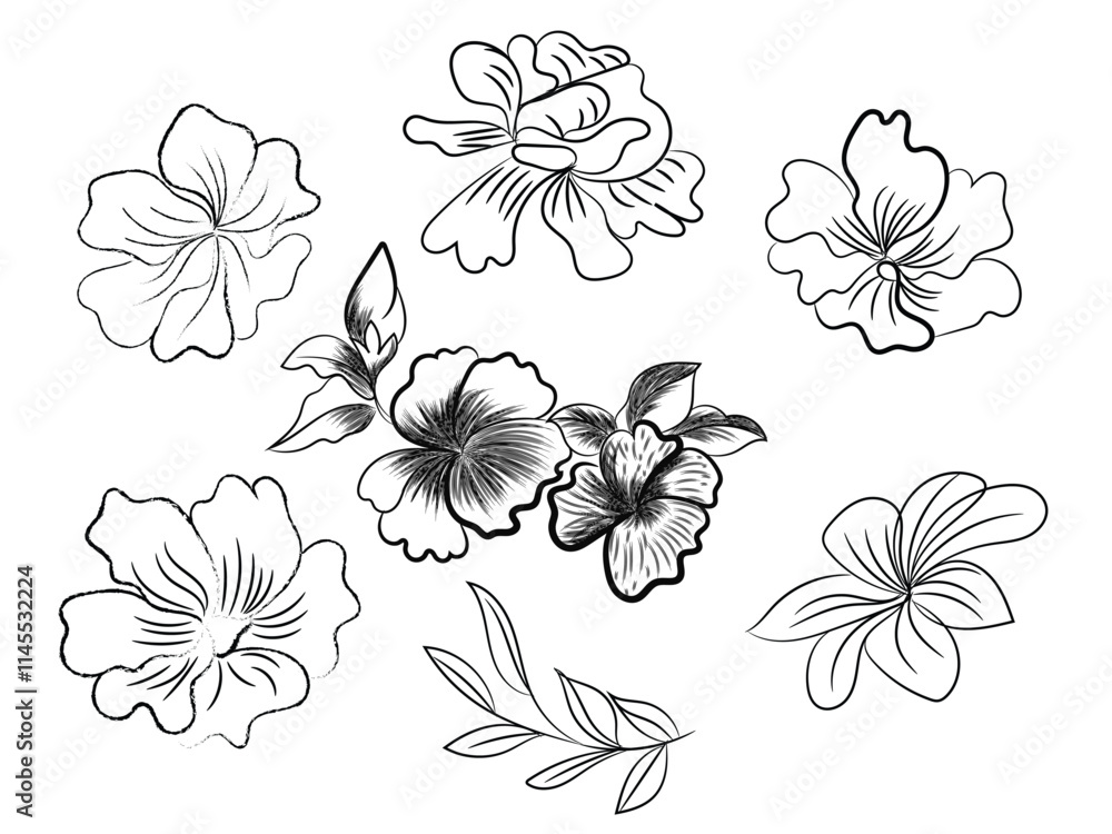 Vector flowers art Vector flowers art