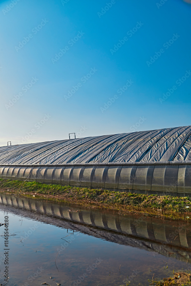 Fototapeta premium Spring vegetable greenhouse in Kulun Nur Scenic Area, Guyuan County, Hebei Province