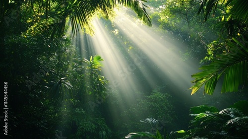 Aerial View of Dense Jungle Canopy with Sunlight Rays Streaming Through