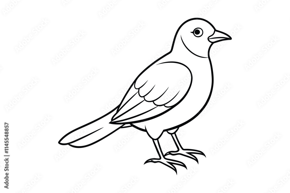 Obraz premium bird line art vector illustration on white background