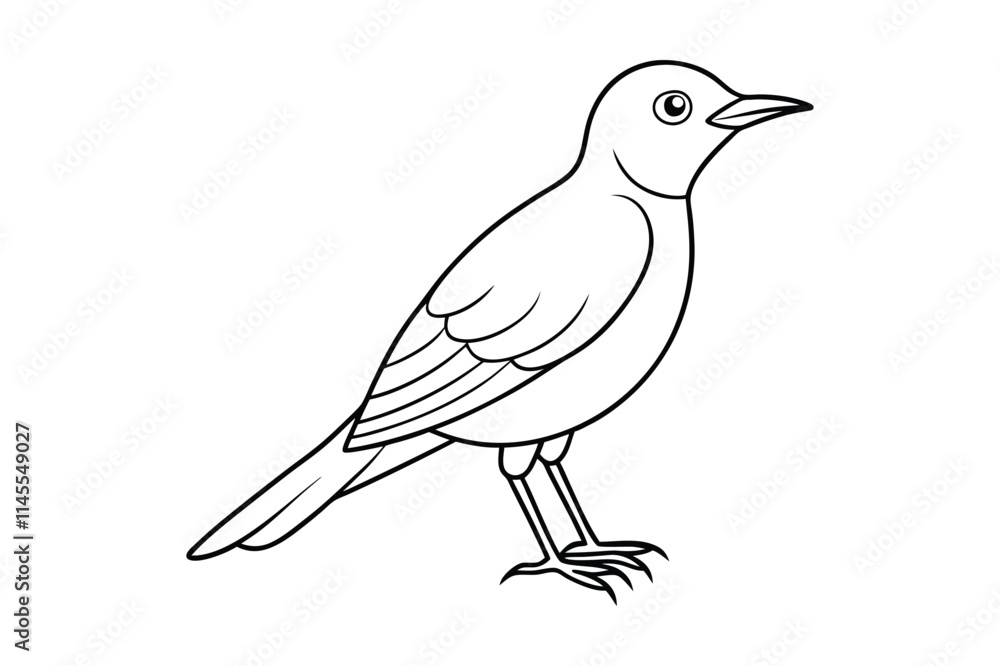 Fototapeta premium bird line art vector illustration on white background