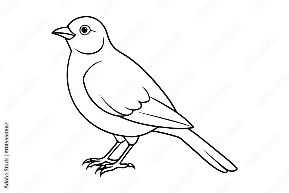 Obraz premium bird line art vector illustration on white background