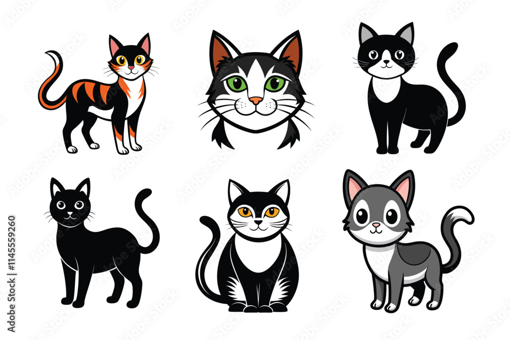 black and white cats black and white cats