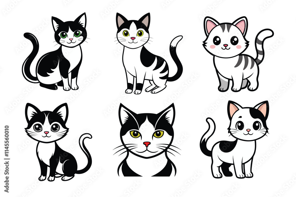 black and white cats black and white cats