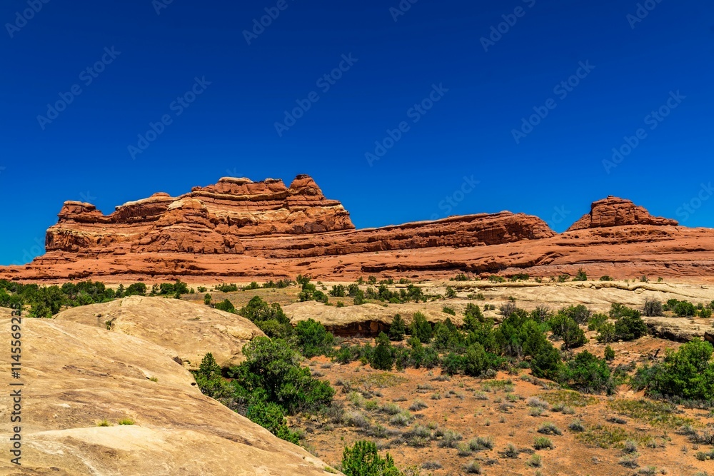 Fototapeta premium Red Rock Formations in Canyonlands National Park