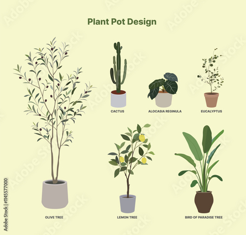 식물 화분 디자인 일러스트