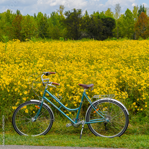 Blue bicycle beside field of yellow flowers