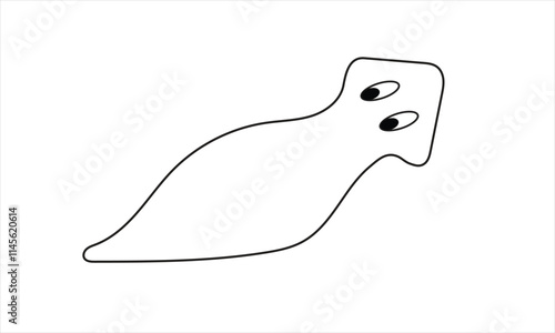 simple outline of planaria