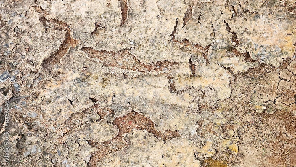 Naklejka premium Cracked Earth Texture: Arid Landscape Details