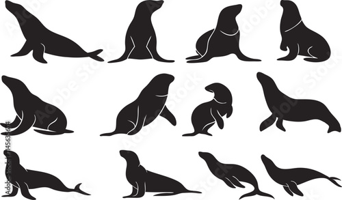 Seal silhouette vector set in some of different style using black color illustration design