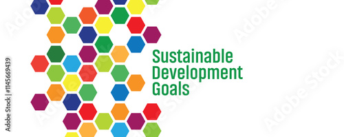 Sustainable Development Goals sign on white background	