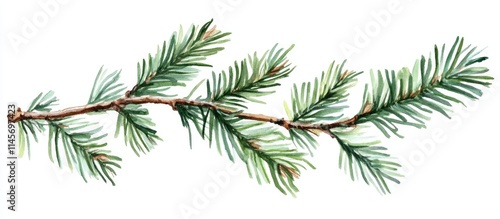 Green fir branch with needles and twigs isolated on white background perfect for seasonal decorations and botanical illustrations