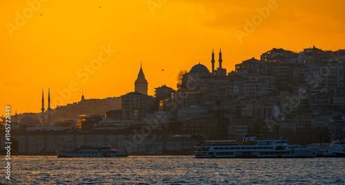 Galata Tower view with Bosphorus tour in Istanbul
