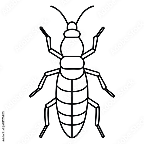 Bark Beetle insect flat vector illustration on white background