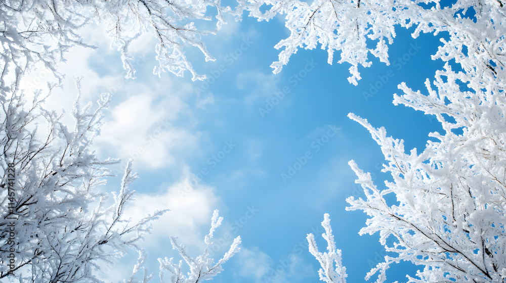 Snow-Covered Branches Against Blue Sky Snow-Covered Branches Against Blue Sky