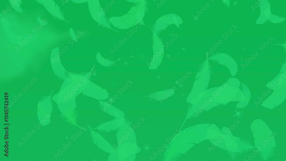 The wind is blowing feather on a green screen