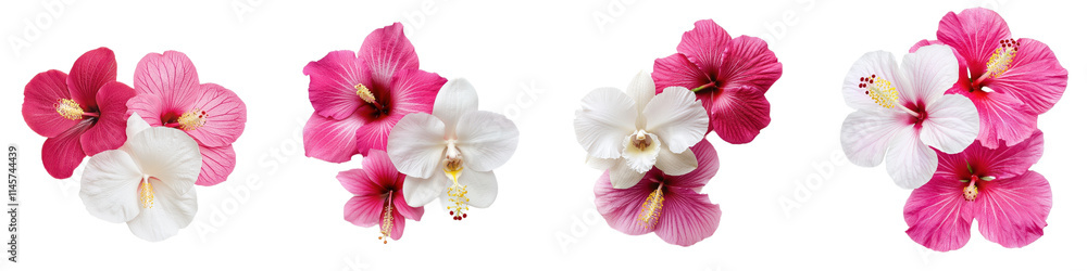 Beautiful pink and white orchids paired with vibrant hibiscus flowers Beautiful pink and white orchids paired with vibrant hibiscus flowers