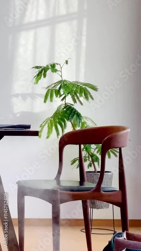 引越し直後の家具が少ない室内と加湿器の蒸気　縦動画