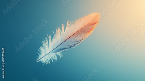 Single soft feather floats on a gradient blue and orange background.