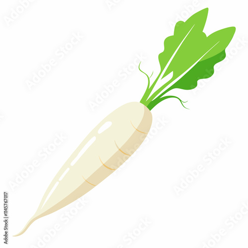 white long radish isolated white background