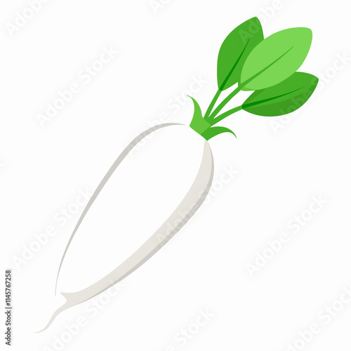 white long radish isolated white background